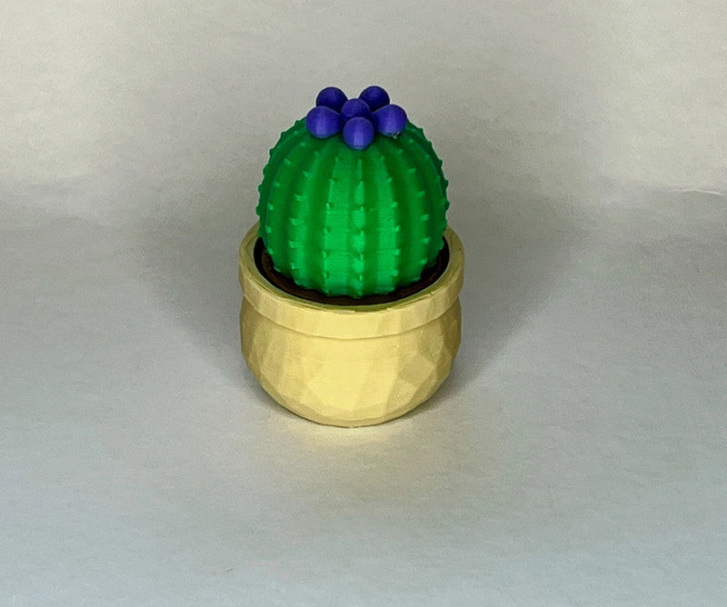 Succulent Cactus Clicker/Fidget